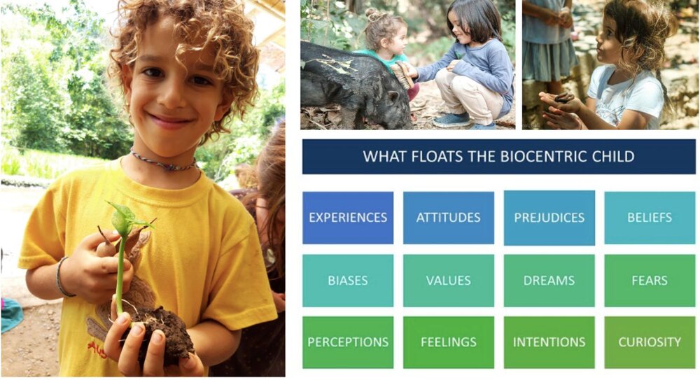 biocentric child values