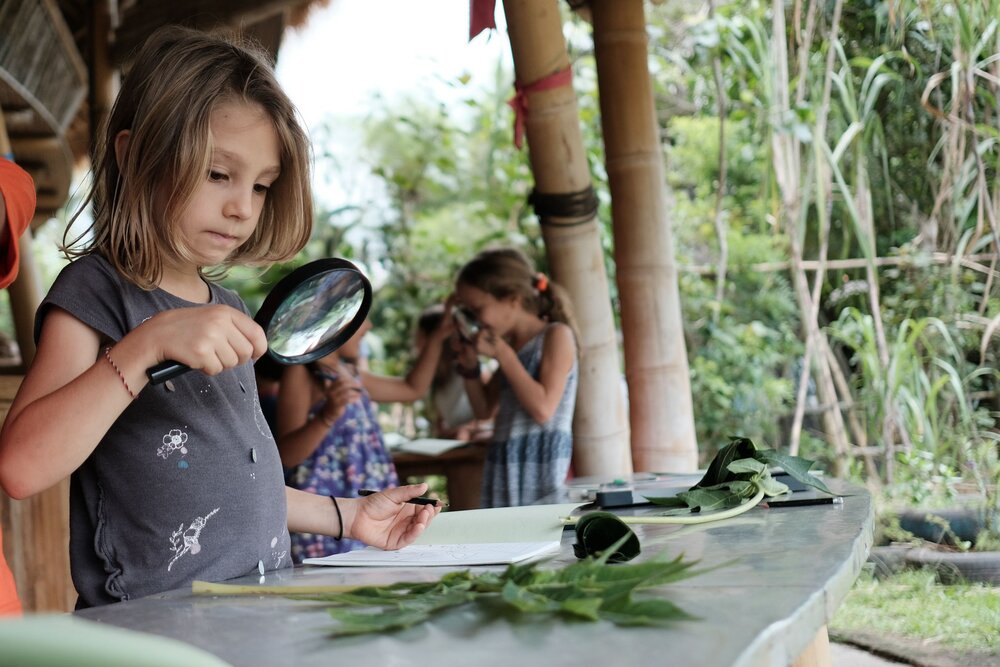 green school bali adaptability education